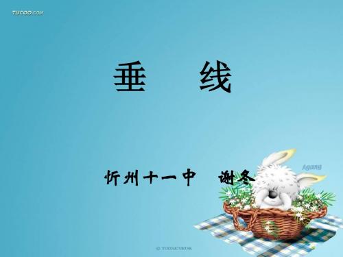 垂线