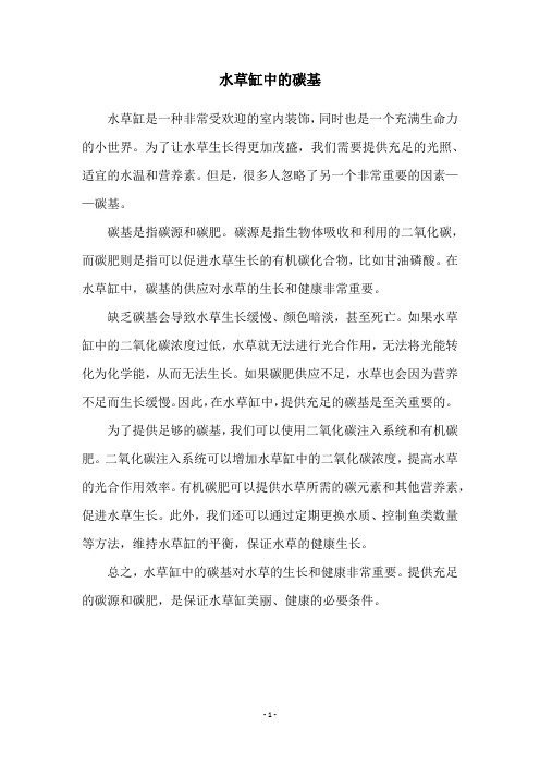 水草缸中的碳基