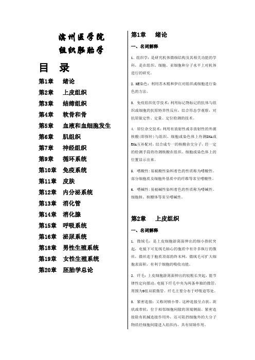 《组织学与胚胎学》复习题