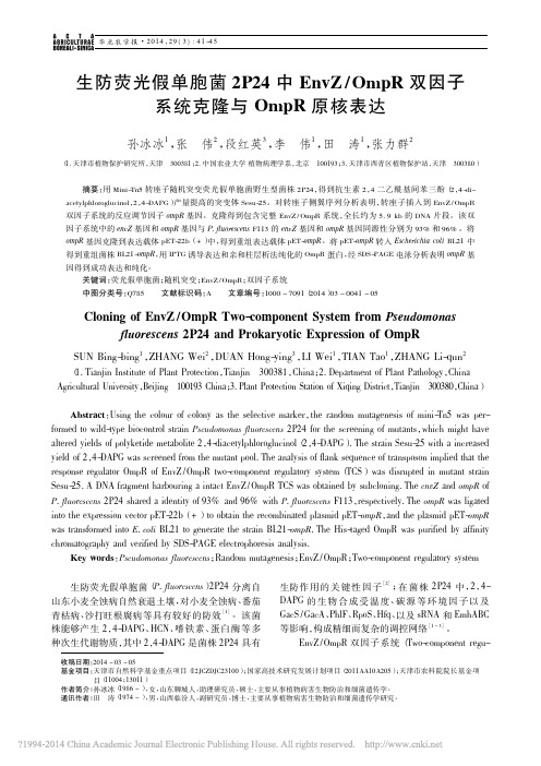 生防荧光假单胞菌2P24中EnvZ_OmpR双因子系统克隆与OmpR原核表达