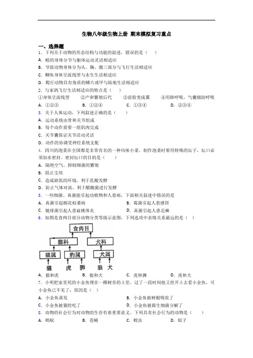 生物八年级生物上册 期末模拟复习重点