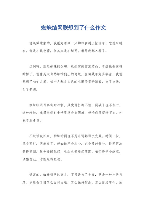 蜘蛛结网联想到了什么作文