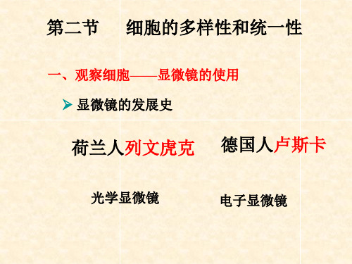 1.2 显微镜的使用.