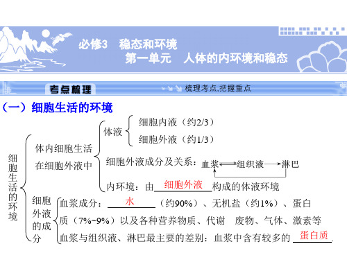 2024届高三一轮复习生物：人体的内环境和稳态课件