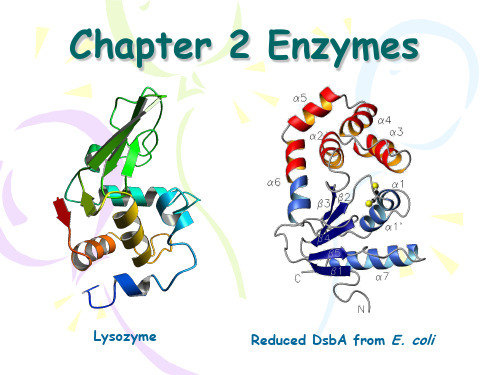 生物反应工程：chap2_enzyme_1 ppt课件