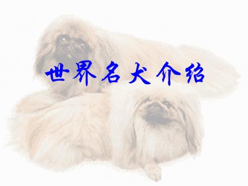 4  世界名犬欣赏