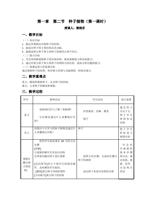 种子植物