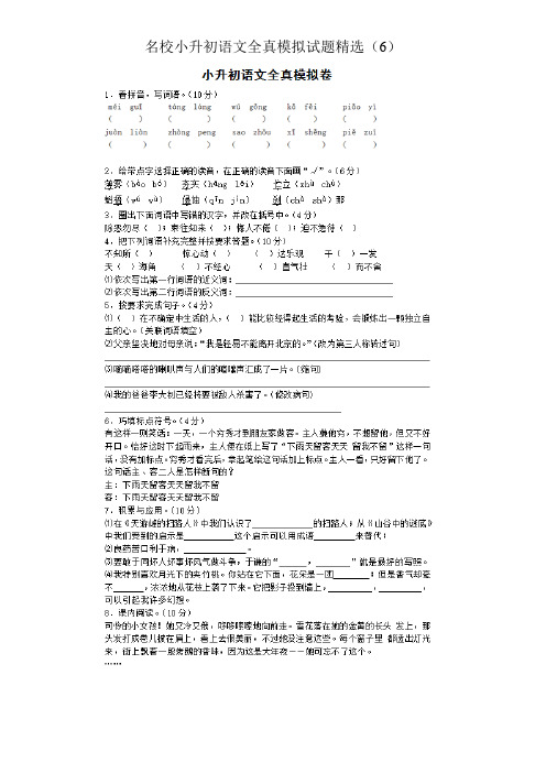 2018年曲靖市名校小升初语文全真模拟试题精选(6)附详细答案