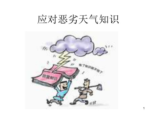 恶劣天气应急 PPT教学课件