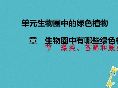 七年级生物上册第三单元第一章第一节 藻类苔藓和蕨类植物教学课件〔新版新人教版〕_351