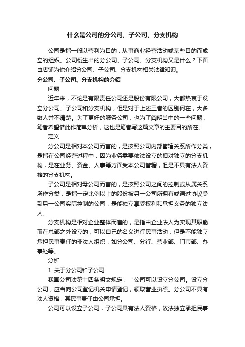 什么是公司的分公司、子公司、分支机构