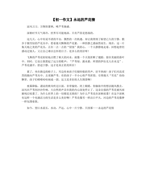 【初一作文】永远的芦花情