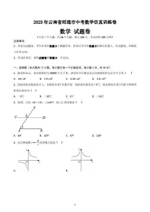 2023年云南省昭通市中考数学仿真训练卷