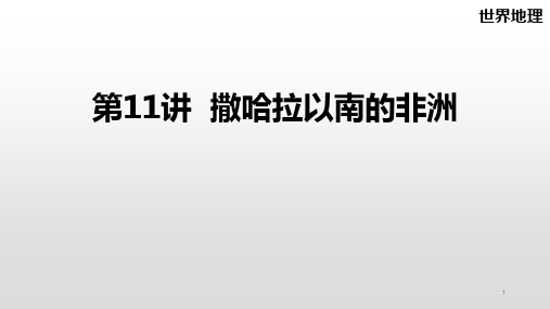 高二区域地理复习课件第11讲撒哈拉以南的非洲