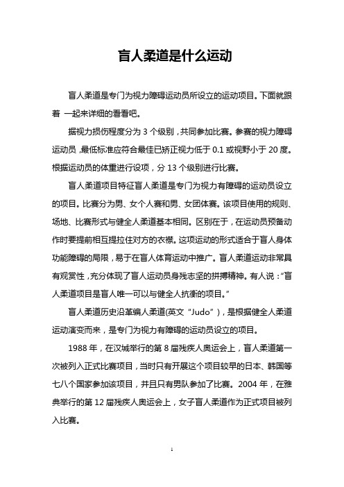 盲人柔道是什么运动