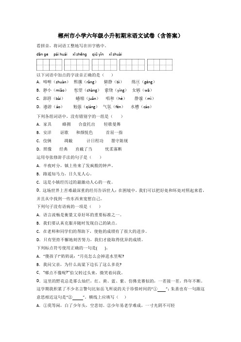 郴州市小学六年级小升初期末语文试卷(含答案)