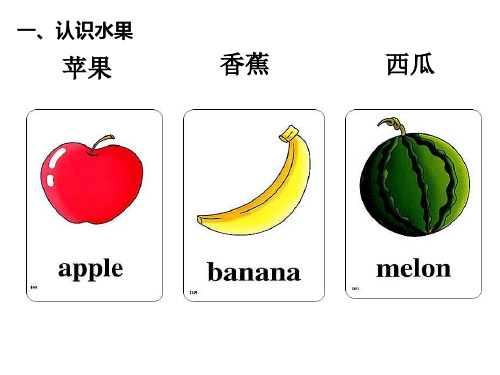 常用英语单词图片大全完全版ppt课件