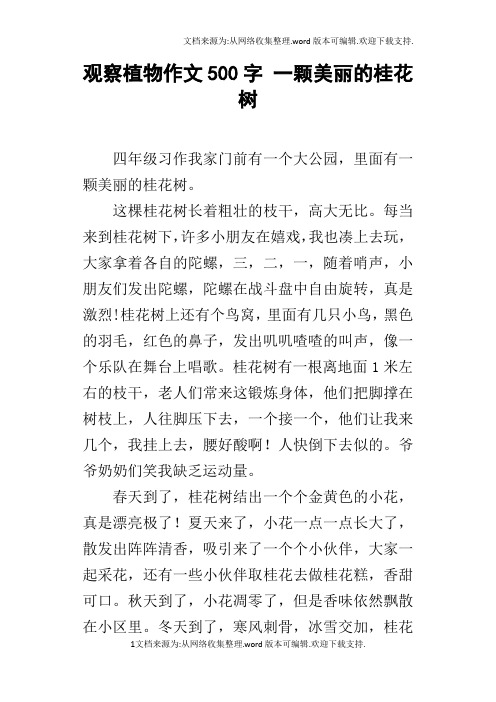 观察植物作文500字一颗美丽的桂花树