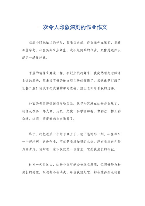 一次令人印象深刻的作业作文