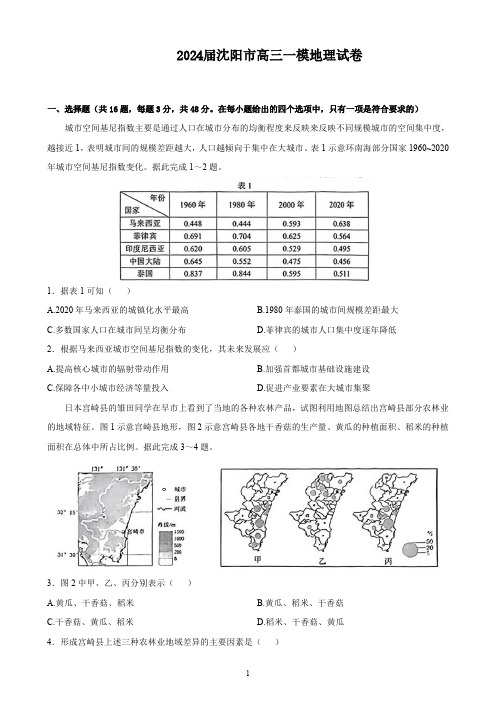 2024届辽宁省沈阳市高三一模地理试卷(含答案)