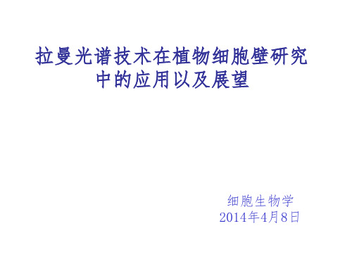 拉曼光谱技术在植物细胞壁中的应用以及展望