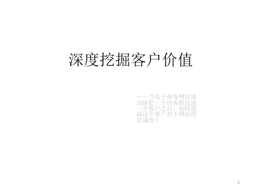 深度挖掘客户价值PPT课件