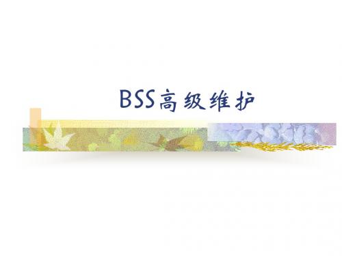 BSS高级维护