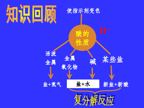 氢氧化钠的性质ppt课件