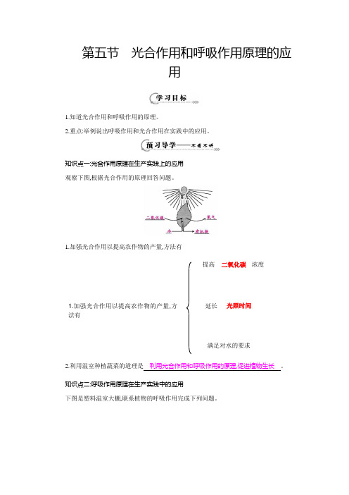 第五节光合作用和呼吸作用原理的应用