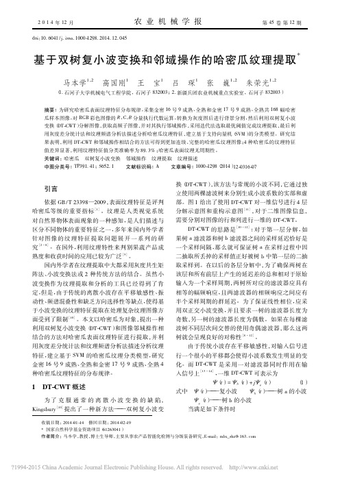 基于双树复小波变换和邻域操作的哈密瓜纹理提取_马本学