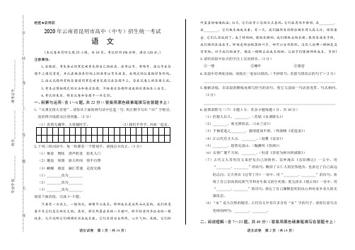 2020年云南省昆明中考语文试卷(附答案与解析)