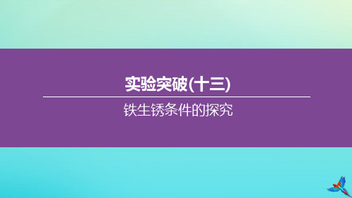 (北京专版)2020中考化学复习方案实验突破(13)铁生锈条件的探究课件