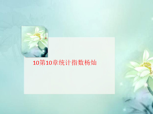 10第10章统计讲义指数杨灿