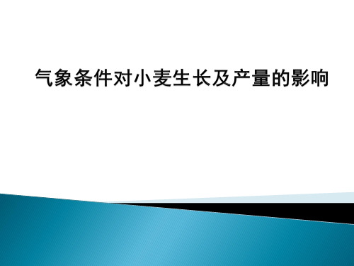 气象因素对小麦生长发育的影响