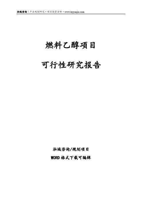 燃料乙醇项目可行性研究报告