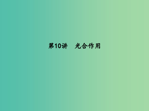 高中生物第三单元细胞的能量供应和利用第10讲光合作用