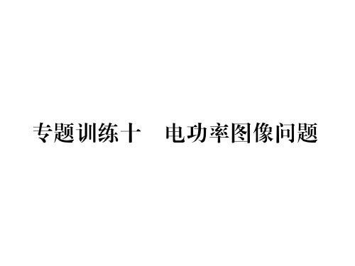 第6章专题训练十 电功率图像问题—2020秋九年级物理上册教科版课堂复习课件