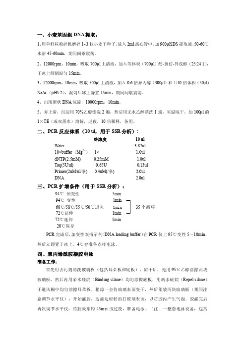 一、小麦基因组DNA提取