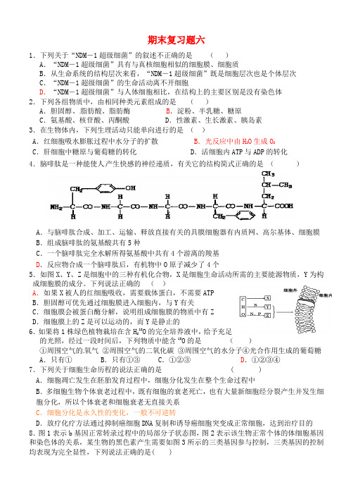 山东省济南市2017年高三生物期末复习题6