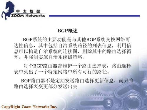 高级网络协议(BGP)
