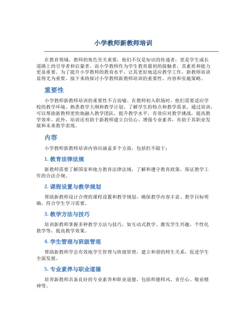 小学教师新教师培训