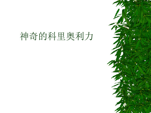 神奇的科里奥利力