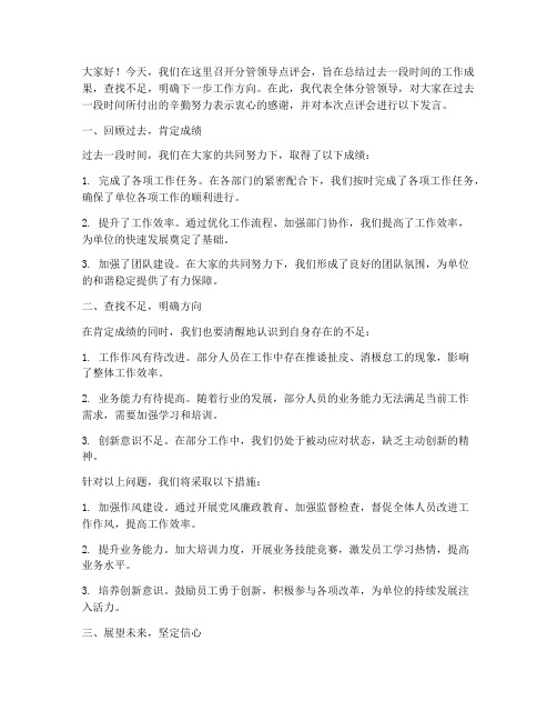 分管领导点评会发言稿