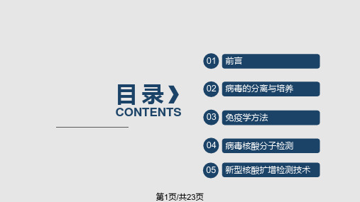 病毒检测技术及应用PPT课件