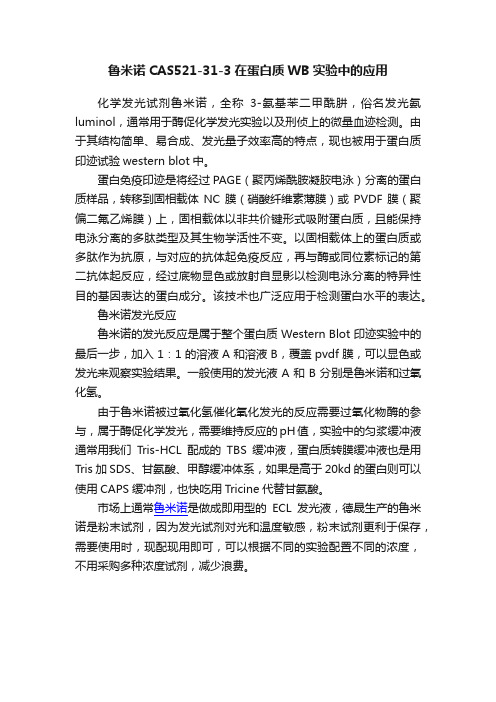 鲁米诺CAS521-31-3在蛋白质WB实验中的应用