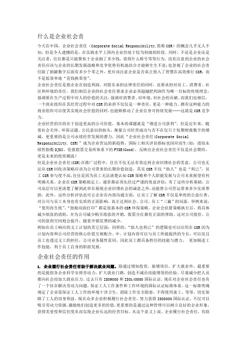 可持续发展Sustainability与企业社会责任CSR