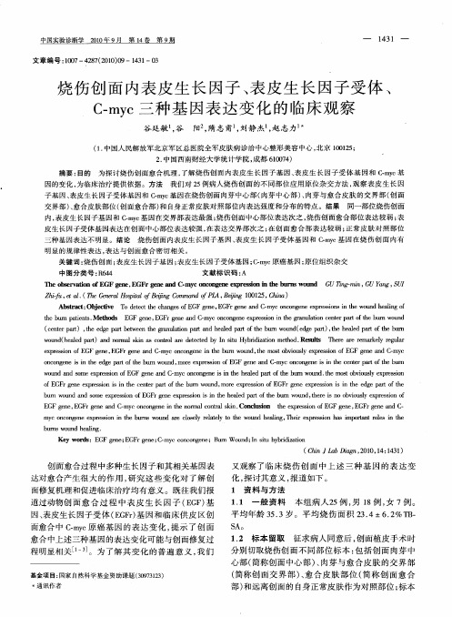 烧伤创面内表皮生长因子、表皮生长因子受体、C-myc三种基因表达变化的临床观察