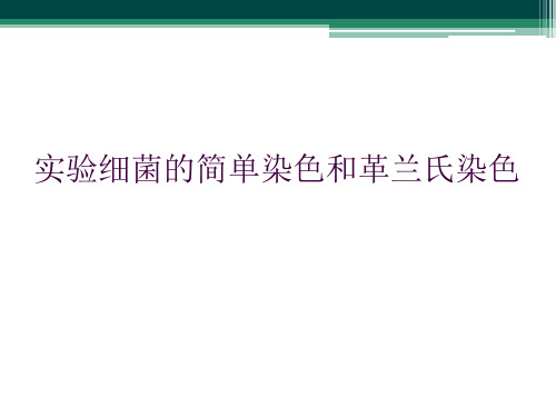 实验细菌的简单染色和革兰氏染色