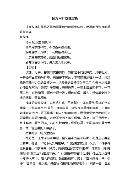 杨万里红玫瑰赏析