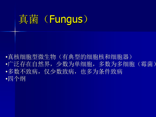 真菌的生物学性状、免疫及致病性
